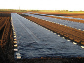 Агротекстиль Agrojutex 100г/м2 - 5.25x100м