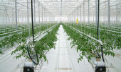 Агротекстиль Agrojutex белый 130г/м2 - 4.20x100м Агротекстиль Agrojutex белый 130г/м2 - 4.20x100м